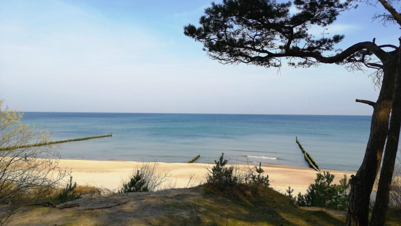 אוסטרוני מורסקי Hotel Skal Medi Spa & Resort מראה חיצוני תמונה