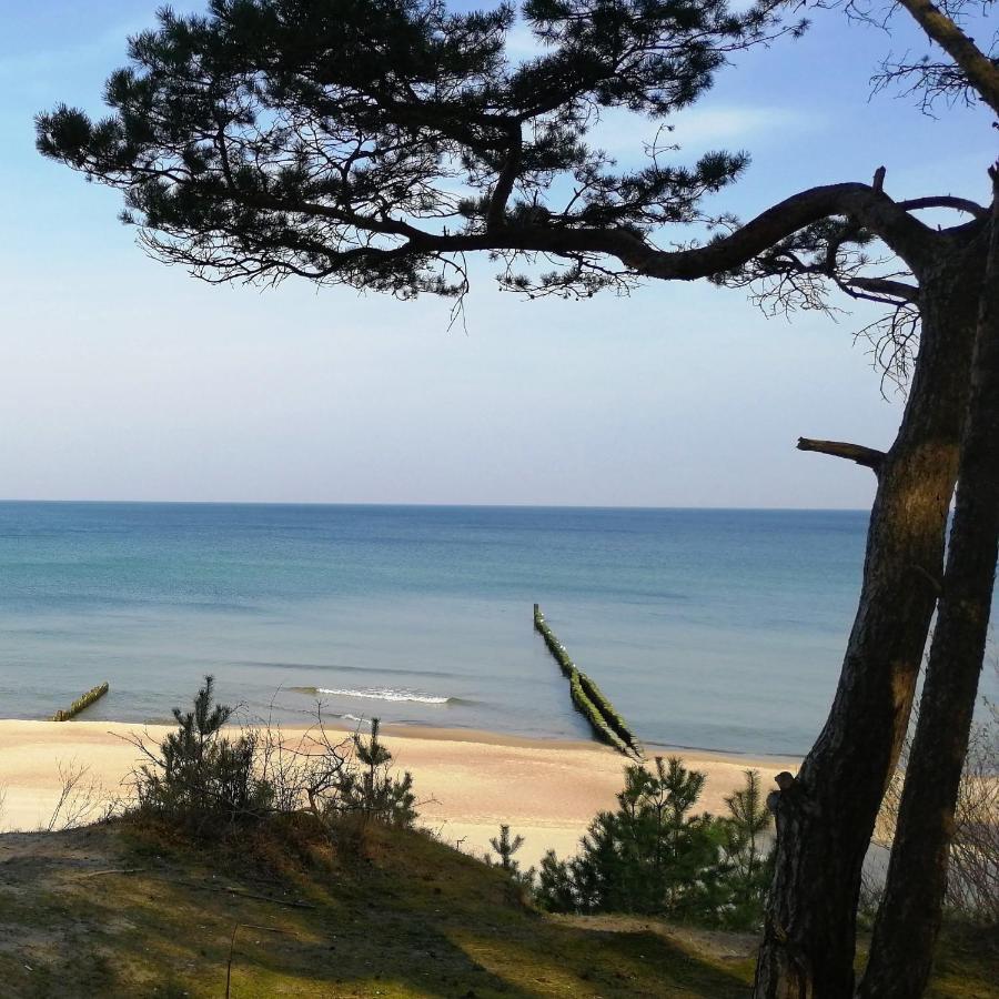 אוסטרוני מורסקי Hotel Skal Medi Spa & Resort מראה חיצוני תמונה